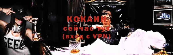 не бодяженный Горно-Алтайск