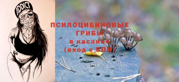 бошки Горняк